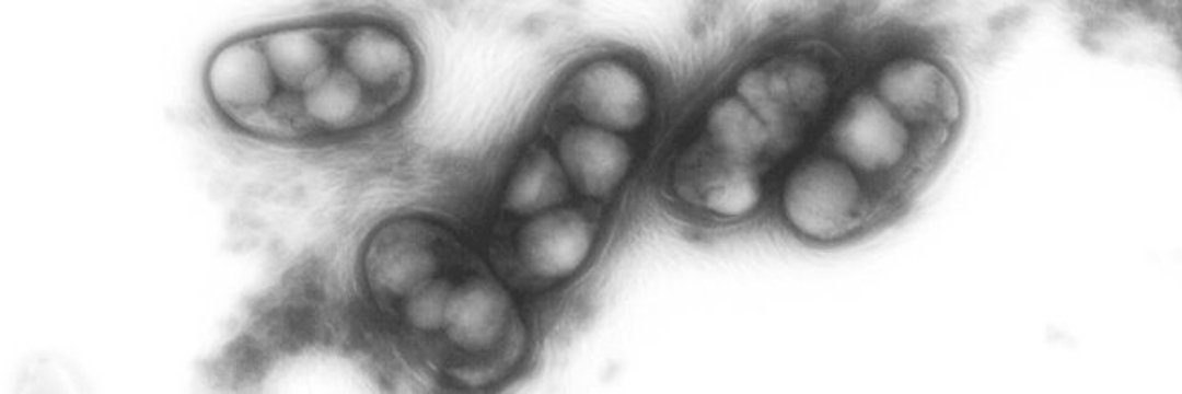 Banner Laboratorio 4
